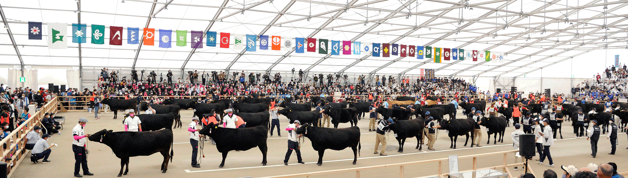 全国和牛能力共進会